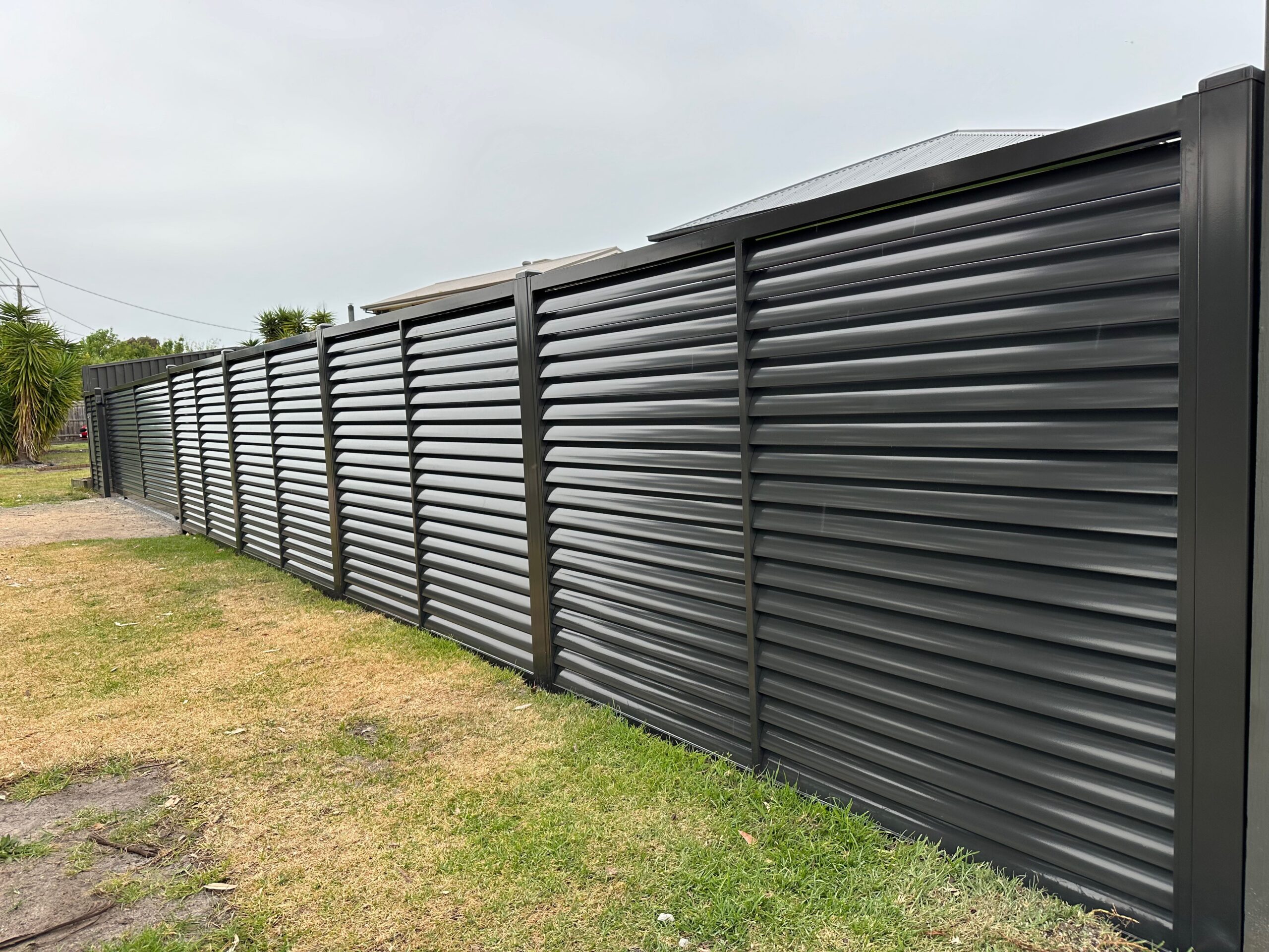 20241017_060136006_iOS-scaled