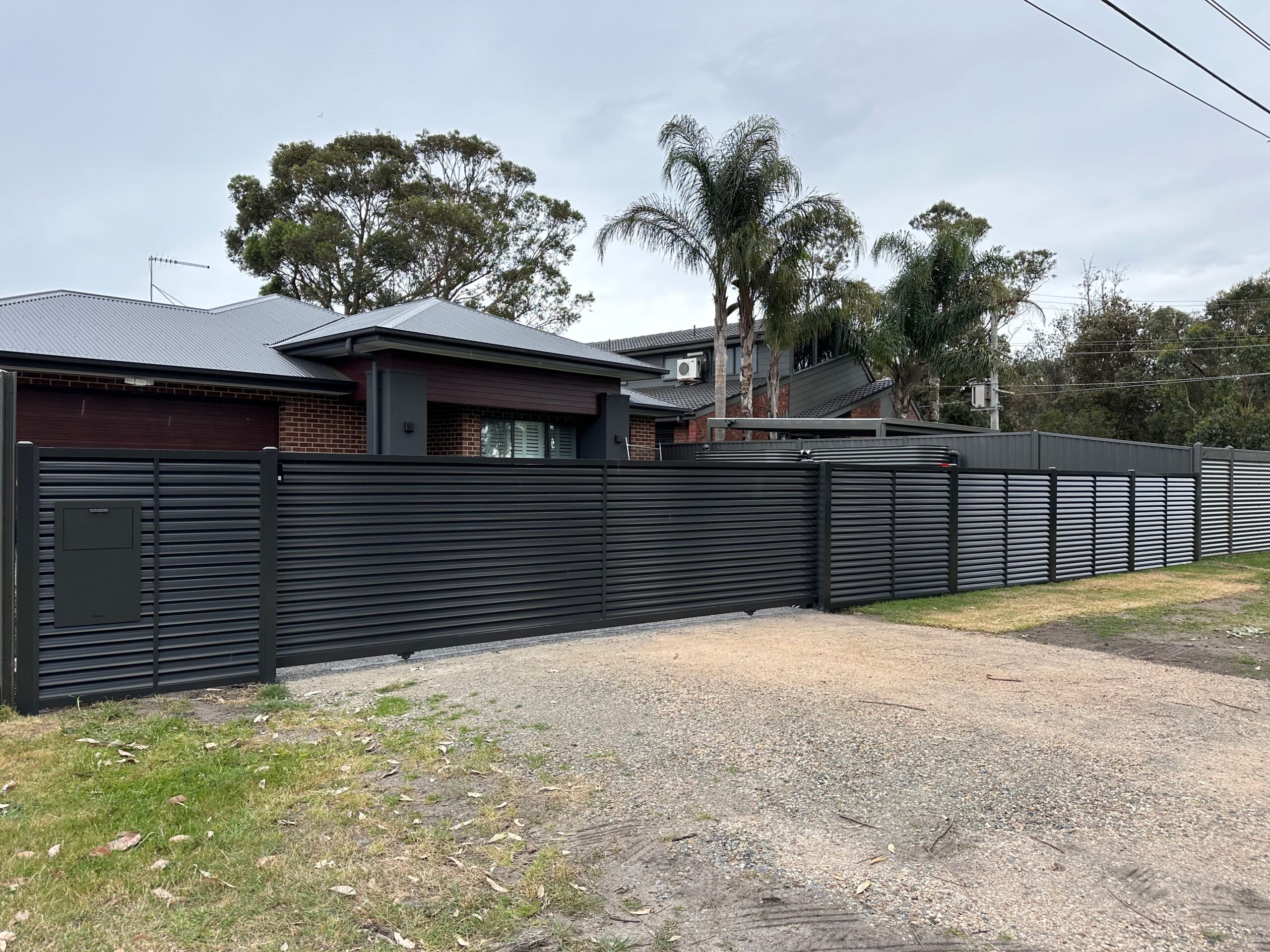 20241017_060200911_iOS-scaled